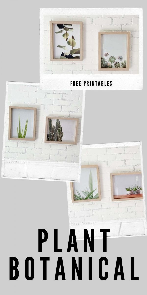 Free Plant Printables – Hallstrom Home