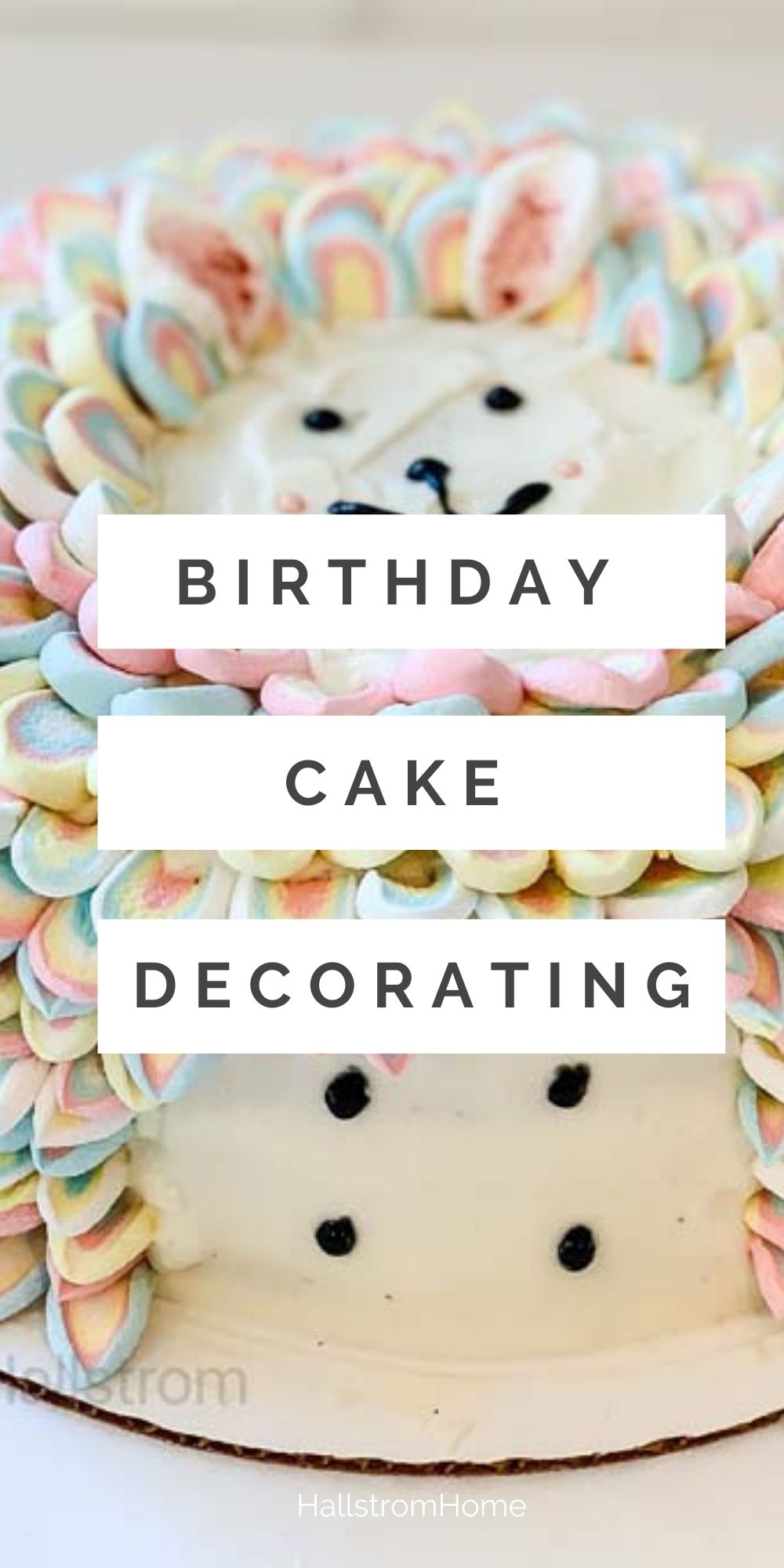 Birthday Cake Decorating – Hallstrom Home