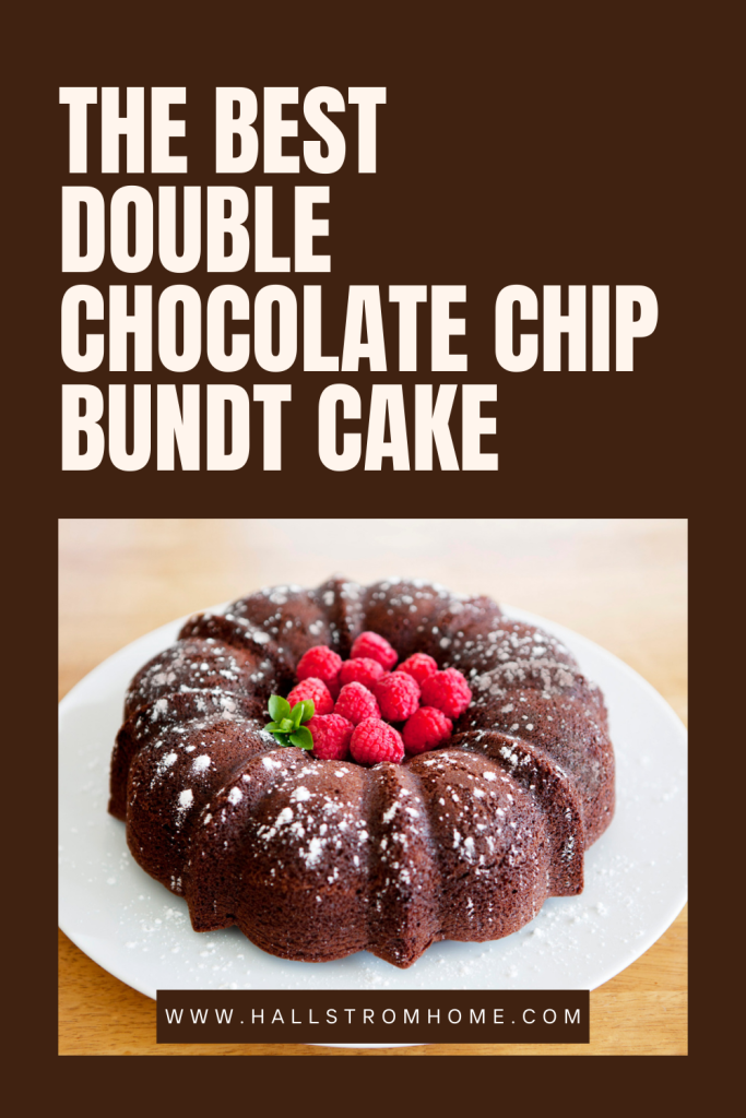 The Best Double Chocolate Chip Bundt Cake